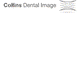 Docklands Dental - Dentist in Melbourne