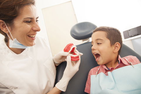 Ashfield Dental And Orthodontic Centre - Dentist in Melbourne 0