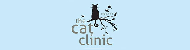  Dentist in Melbourne