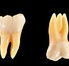 Holistic Dental Donvale - Dentist in Melbourne