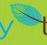 Totally Teeth - Dentist in Melbourne