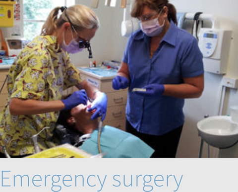 Biltoft's Dental Surgery - Dentist in Melbourne 3