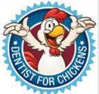 Dentists for chickens - Dentist in Melbourne