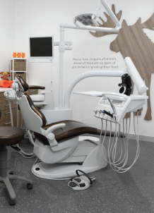 Orange Moose Dental - Dentist in Melbourne 2