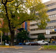 St Vincent's Dental Centre - Dentist in Melbourne