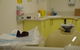 A Plus Dental Surgery, Chelsea Heights - thumb 3