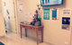 Sunshine Family Dental Clinic - thumb 3