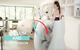 Hypoxi Body Boutique - thumb 1