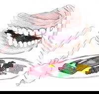 Dannalees Mobile Denture Service - Dentist in Melbourne