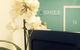 A Smile Dental–York St - thumb 6
