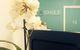 A Smile Dental–York St - thumb 2