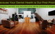 Oasis Dental - thumb 1