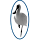 Pinjarra Dental Surgery - Dentist in Melbourne