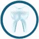 Tooth 32