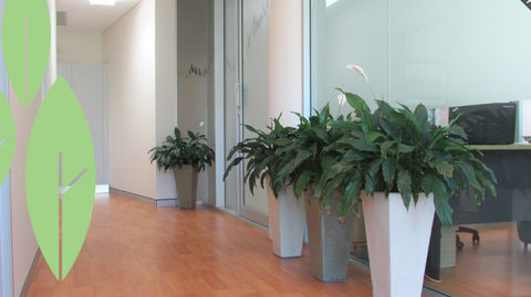 Parkview Dental Practice - Dentist in Melbourne 3