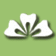 Soni Dental - Dentist in Melbourne